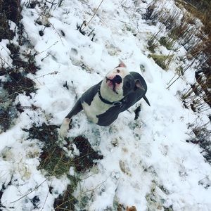 Meet your Posher, Betsy